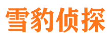 内丘侦探公司